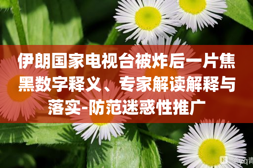 伊朗國家電視臺(tái)被炸后一片焦黑數(shù)字釋義、專家解讀解釋與落實(shí)-防范迷惑性推廣