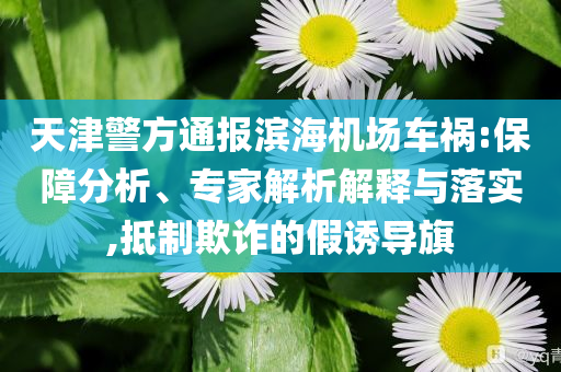 天津警方通報濱海機(jī)場車禍:保障分析、專家解析解釋與落實(shí),抵制欺詐的假誘導(dǎo)旗
