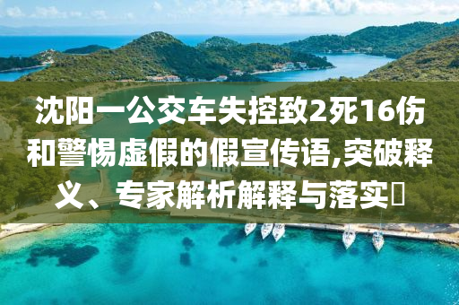 沈陽一公交車失控致2死16傷和警惕虛假的假宣傳語,突破釋義、專家解析解釋與落實(shí)?