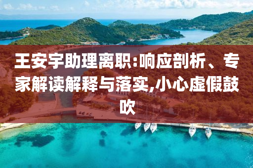 王安宇助理離職:響應(yīng)剖析、專家解讀解釋與落實,小心虛假鼓吹