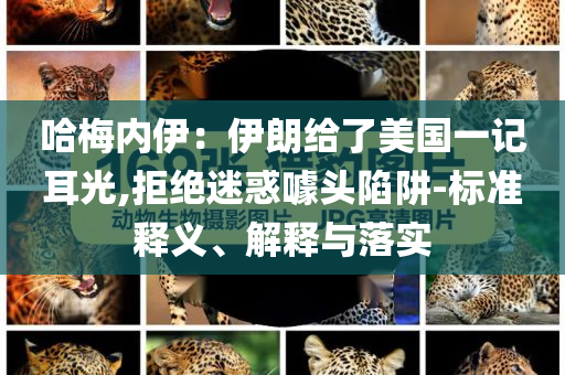 yangyuting