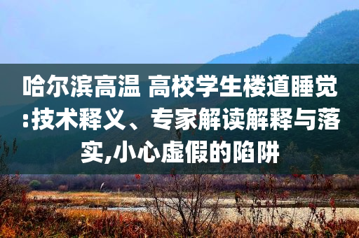 哈爾濱高溫 高校學(xué)生樓道睡覺:技術(shù)釋義、專家解讀解釋與落實(shí),小心虛假的陷阱