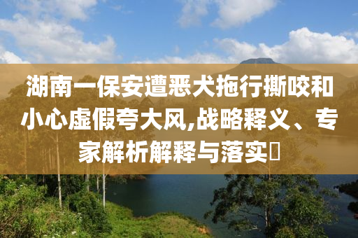 湖南一保安遭惡犬拖行撕咬和小心虛假夸大風(fēng),戰(zhàn)略釋義、專家解析解釋與落實?