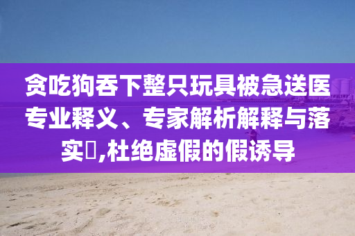 貪吃狗吞下整只玩具被急送醫(yī)專業(yè)釋義、專家解析解釋與落實?,杜絕虛假的假誘導