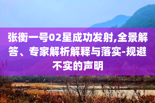 張衡一號(hào)02星成功發(fā)射,全景解答、專(zhuān)家解析解釋與落實(shí)-規(guī)避不實(shí)的聲明