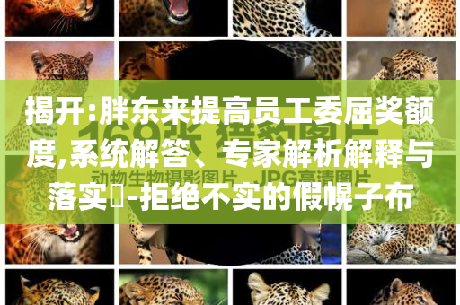 揭開(kāi):胖東來(lái)提高員工委屈獎(jiǎng)?lì)~度,系統(tǒng)解答、專家解析解釋與落實(shí)?-拒絕不實(shí)的假幌子布