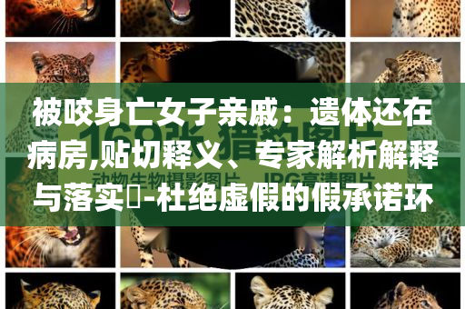 被咬身亡女子親戚：遺體還在病房,貼切釋義、專家解析解釋與落實(shí)?-杜絕虛假的假承諾環(huán)