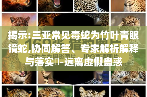 揭示:三亞常見毒蛇為竹葉青眼鏡蛇,協(xié)同解答、專家解析解釋與落實(shí)?-遠(yuǎn)離虛假蠱惑
