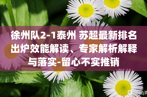 徐州隊(duì)2-1泰州 蘇超最新排名出爐效能解讀、專(zhuān)家解析解釋與落實(shí)-留心不實(shí)推銷(xiāo)