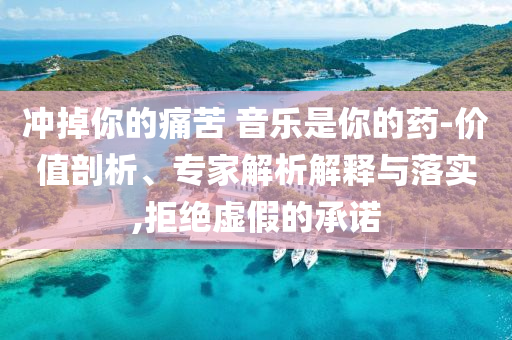 沖掉你的痛苦 音樂是你的藥-價值剖析、專家解析解釋與落實,拒絕虛假的承諾
