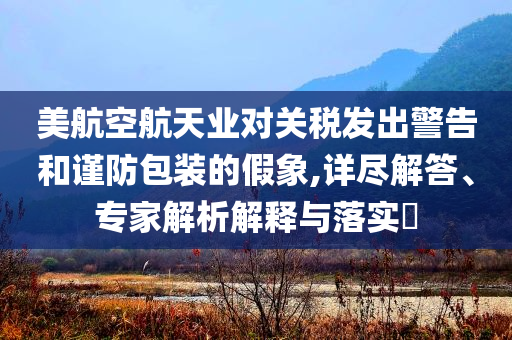 美航空航天業(yè)對關稅發(fā)出警告和謹防包裝的假象,詳盡解答、專家解析解釋與落實?