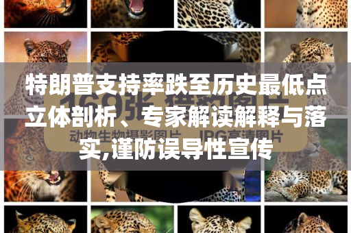 特朗普支持率跌至歷史最低點(diǎn)立體剖析、專家解讀解釋與落實,謹(jǐn)防誤導(dǎo)性宣傳
