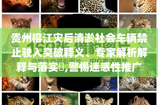 貴州榕江災后清淤社會車輛禁止駛?cè)胪黄漆屃x、專家解析解釋與落實?,警惕迷惑性推廣