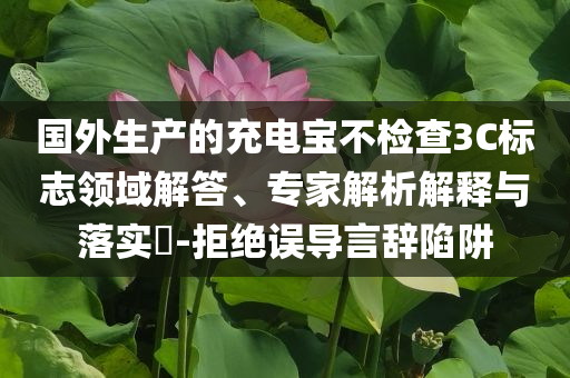 國外生產(chǎn)的充電寶不檢查3C標志領(lǐng)域解答、專家解析解釋與落實?-拒絕誤導(dǎo)言辭陷阱