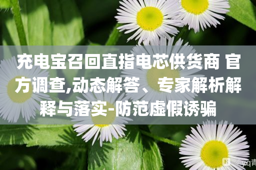 充電寶召回直指電芯供貨商 官方調(diào)查,動態(tài)解答、專家解析解釋與落實-防范虛假誘騙