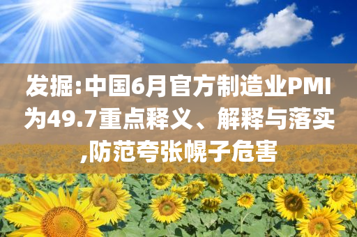 發(fā)掘:中國6月官方制造業(yè)PMI為49.7重點釋義、解釋與落實,防范夸張幌子危害