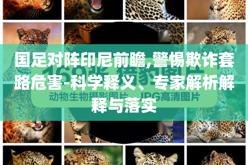 國(guó)足對(duì)陣印尼前瞻,警惕欺詐套路危害-科學(xué)釋義、專家解析解釋與落實(shí)