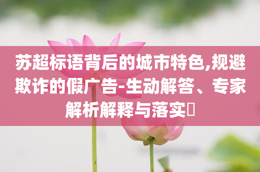 蘇超標語背后的城市特色,規(guī)避欺詐的假廣告-生動解答、專家解析解釋與落實?