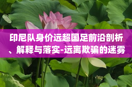 印尼隊身價遠超國足前沿剖析、解釋與落實-遠離欺騙的迷霧
