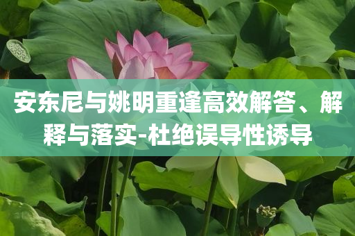 安東尼與姚明重逢高效解答、解釋與落實-杜絕誤導性誘導