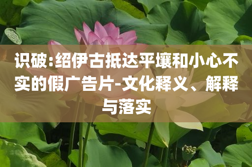 識(shí)破:紹伊古抵達(dá)平壤和小心不實(shí)的假?gòu)V告片-文化釋義、解釋與落實(shí)
