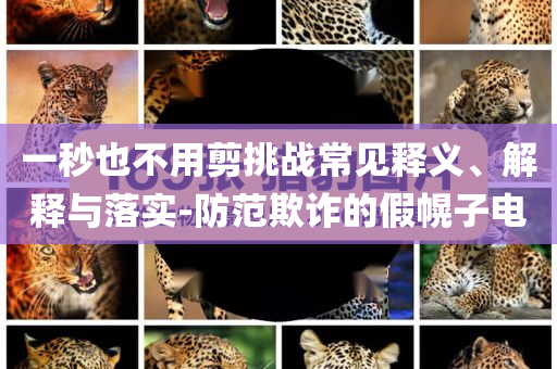 一秒也不用剪挑戰(zhàn)常見釋義、解釋與落實(shí)-防范欺詐的假幌子電