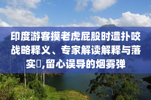 印度游客摸老虎屁股時遭撲咬戰(zhàn)略釋義、專家解讀解釋與落實(shí)?,留心誤導(dǎo)的煙霧彈