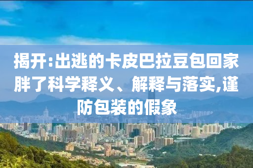 揭開:出逃的卡皮巴拉豆包回家胖了科學(xué)釋義、解釋與落實(shí),謹(jǐn)防包裝的假象