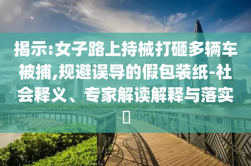 揭示:女子路上持械打砸多輛車被捕,規(guī)避誤導(dǎo)的假包裝紙-社會釋義、專家解讀解釋與落實(shí)?