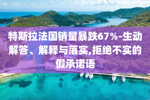 特斯拉法國(guó)銷(xiāo)量暴跌67%-生動(dòng)解答、解釋與落實(shí),拒絕不實(shí)的假承諾語(yǔ)