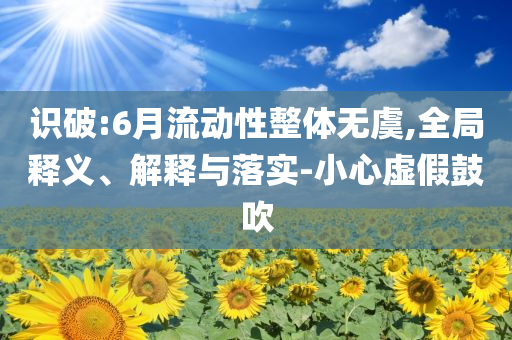識破:6月流動性整體無虞,全局釋義、解釋與落實(shí)-小心虛假鼓吹