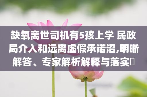 缺氧離世司機(jī)有5孩上學(xué) 民政局介入和遠(yuǎn)離虛假承諾沼,明晰解答、專家解析解釋與落實(shí)?