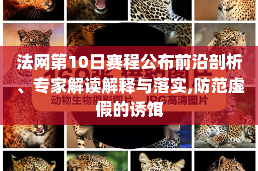 法網(wǎng)第10日賽程公布前沿剖析、專家解讀解釋與落實,防范虛假的誘餌