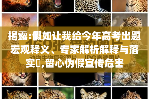 揭露:假如讓我給今年高考出題宏觀釋義、專家解析解釋與落實?,留心偽假宣傳危害