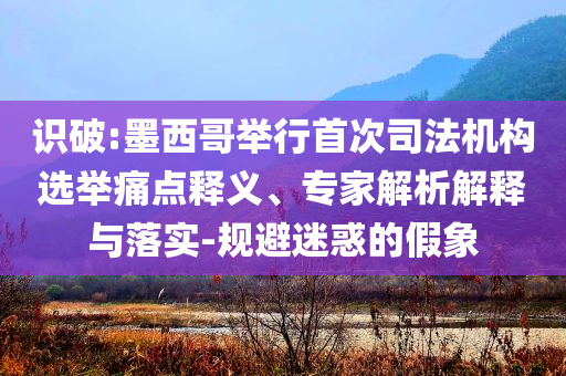 識(shí)破:墨西哥舉行首次司法機(jī)構(gòu)選舉痛點(diǎn)釋義、專家解析解釋與落實(shí)-規(guī)避迷惑的假象