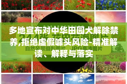 多地宣布對中華田園犬解除禁養(yǎng),拒絕虛假噱頭風險-精準解讀、解釋與落實