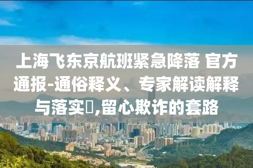 上海飛東京航班緊急降落 官方通報(bào)-通俗釋義、專家解讀解釋與落實(shí)?,留心欺詐的套路
