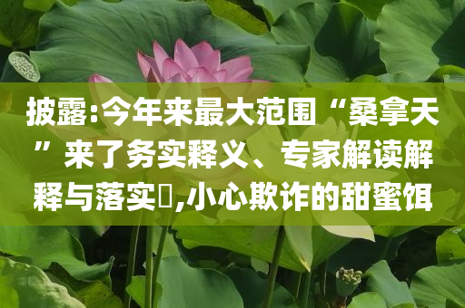披露:今年來最大范圍“桑拿天”來了務(wù)實(shí)釋義、專家解讀解釋與落實(shí)?,小心欺詐的甜蜜餌