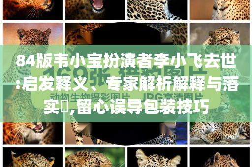 84版韋小寶扮演者李小飛去世:啟發(fā)釋義、專家解析解釋與落實(shí)?,留心誤導(dǎo)包裝技巧