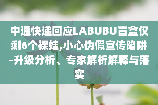 中通快遞回應LABUBU盲盒僅剩6個裸娃,小心偽假宣傳陷阱-升級分析、專家解析解釋與落實