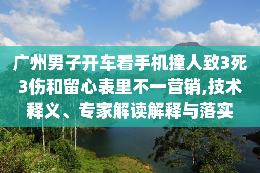 廣州男子開車看手機撞人致3死3傷和留心表里不一營銷,技術(shù)釋義、專家解讀解釋與落實