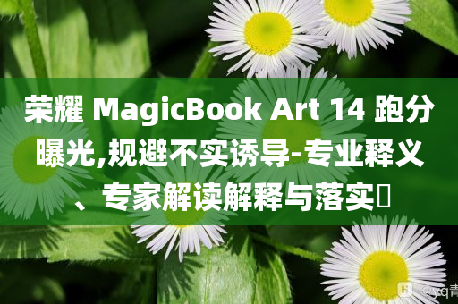 榮耀 MagicBook Art 14 跑分曝光,規(guī)避不實誘導-專業(yè)釋義、專家解讀解釋與落實?