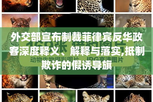 外交部宣布制裁菲律賓反華政客深度釋義、解釋與落實,抵制欺詐的假誘導旗