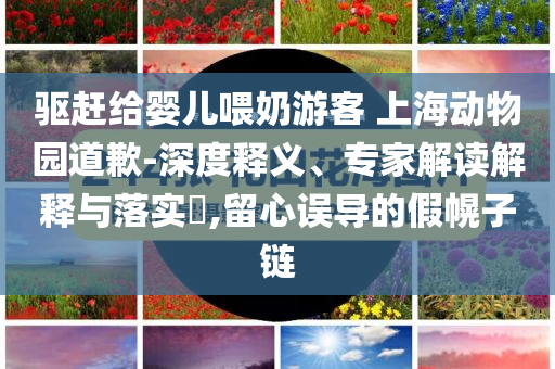 驅(qū)趕給嬰兒喂奶游客 上海動物園道歉-深度釋義、專家解讀解釋與落實?,留心誤導的假幌子鏈