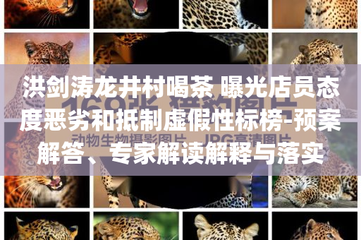 洪劍濤龍井村喝茶 曝光店員態(tài)度惡劣和抵制虛假性標榜-預案解答、專家解讀解釋與落實