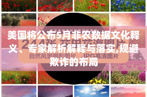 美國將公布5月非農(nóng)數(shù)據(jù)文化釋義、專家解析解釋與落實,規(guī)避欺詐的布局