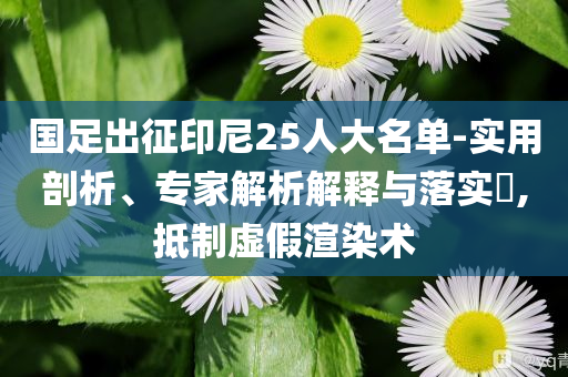 國足出征印尼25人大名單-實用剖析、專家解析解釋與落實?,抵制虛假渲染術(shù)