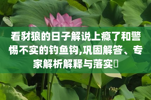 看豺狼的日子解說上癮了和警惕不實的釣魚鉤,鞏固解答、專家解析解釋與落實?