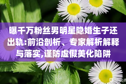 曝千萬粉絲男明星隱婚生子還出軌:前沿剖析、專家解析解釋與落實,謹(jǐn)防虛假美化陷阱