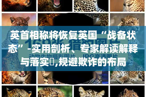 英首相稱(chēng)將恢復(fù)英國(guó)“戰(zhàn)備狀態(tài)”-實(shí)用剖析、專(zhuān)家解讀解釋與落實(shí)?,規(guī)避欺詐的布局